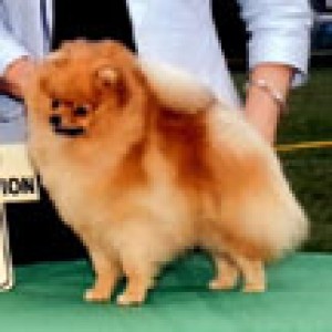 Chriscendo Cloudy Image