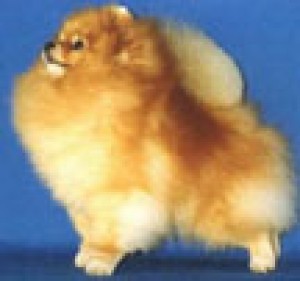 Bavanew's Time After Time