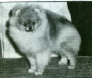 Chriscendo Castle Rock