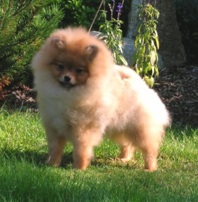 Adia at 4 1/2 months old