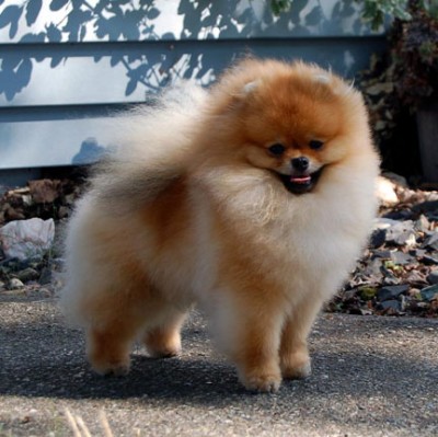 Ashton at 1  year old