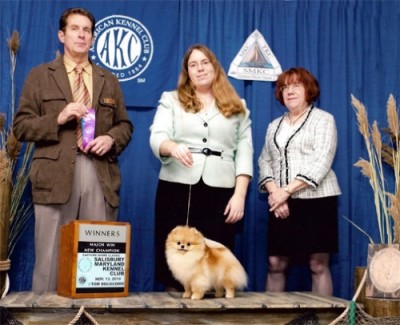 Bree finishing her championship at 18mos old