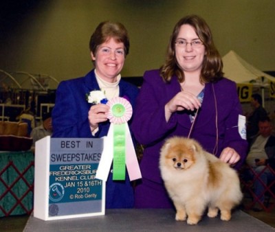 Bree winning Best In Sweeps at the Pom Club of Central Virginia Specialty