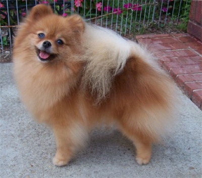 Cady at 3 1/2 years old