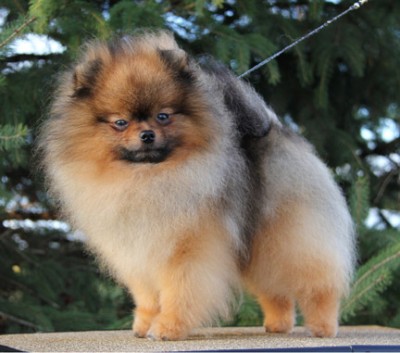 Cole at 2 1/2 yrs old