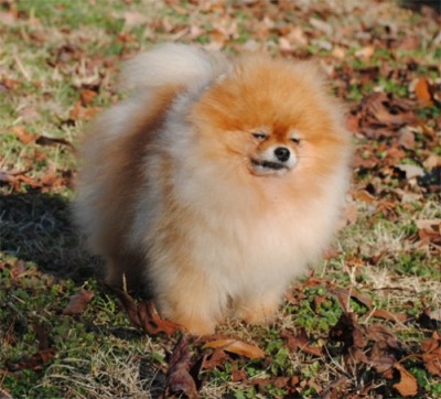 Chad at 7 1/2 yrs old, squinting in the winter sun