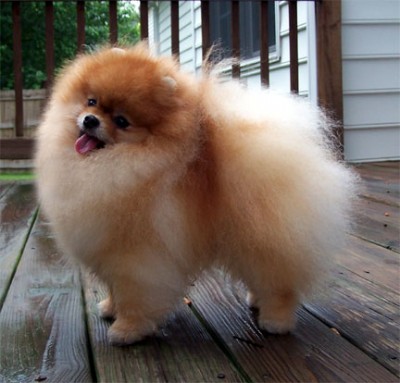 Chad at 6 years  old