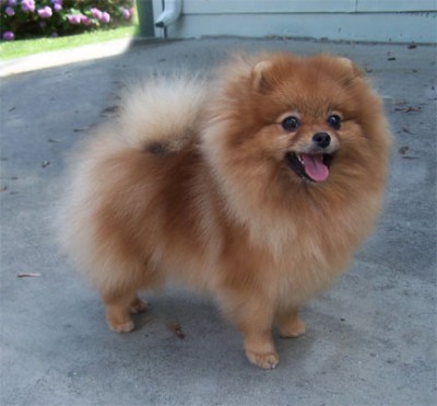 Roulette at 16 mos old