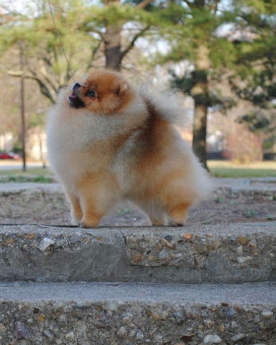 Darcy at 2yrs 10mos old