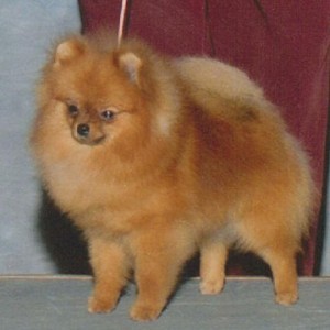 GCh. Mythical Sense of Humor