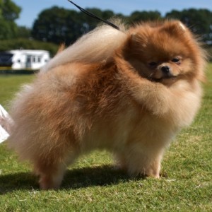 Stealurheart's Don't Burn Ur Bridge (both majors)