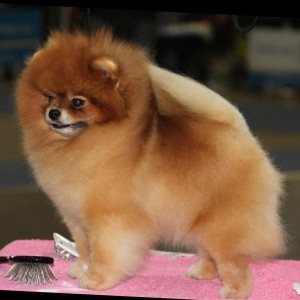 Mythical Sense of Self